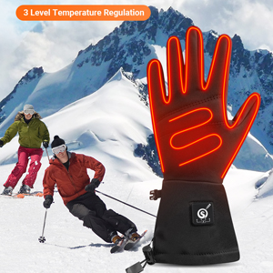 Ski Gloves: Waterproof, Windproof, Battery Heated